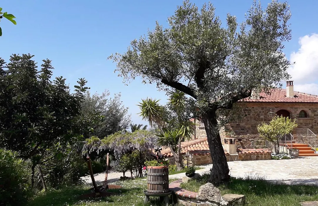 Villa Nigro-1