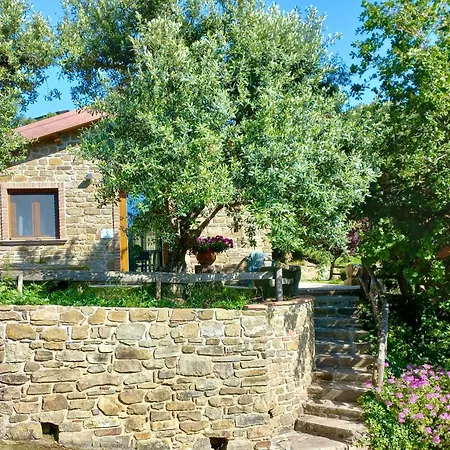 Villa Nigro-2